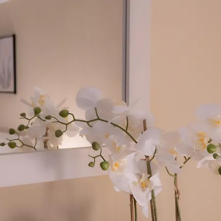 Mila Casa Gennaro Laterza